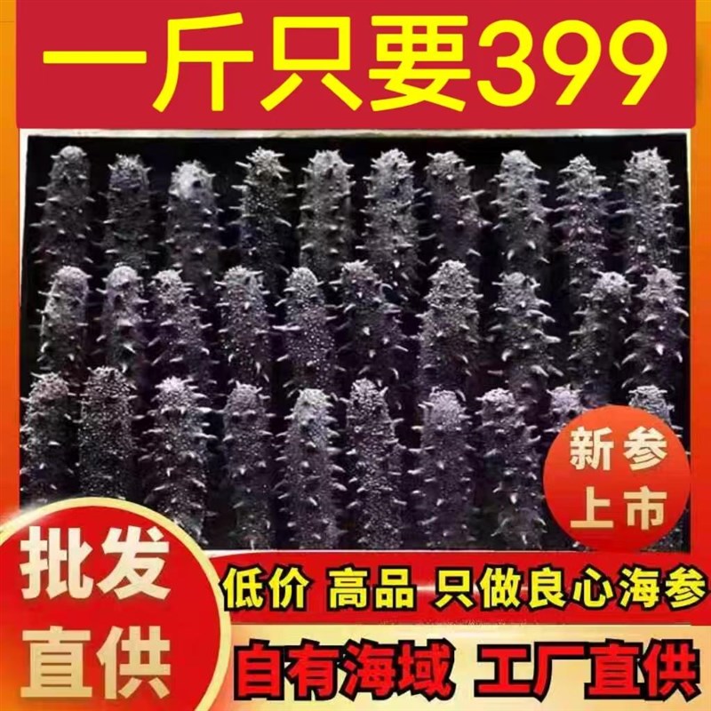 大连野生海参干货500克辽参刺参淡干非即食海参礼盒送礼50g顺丰邮