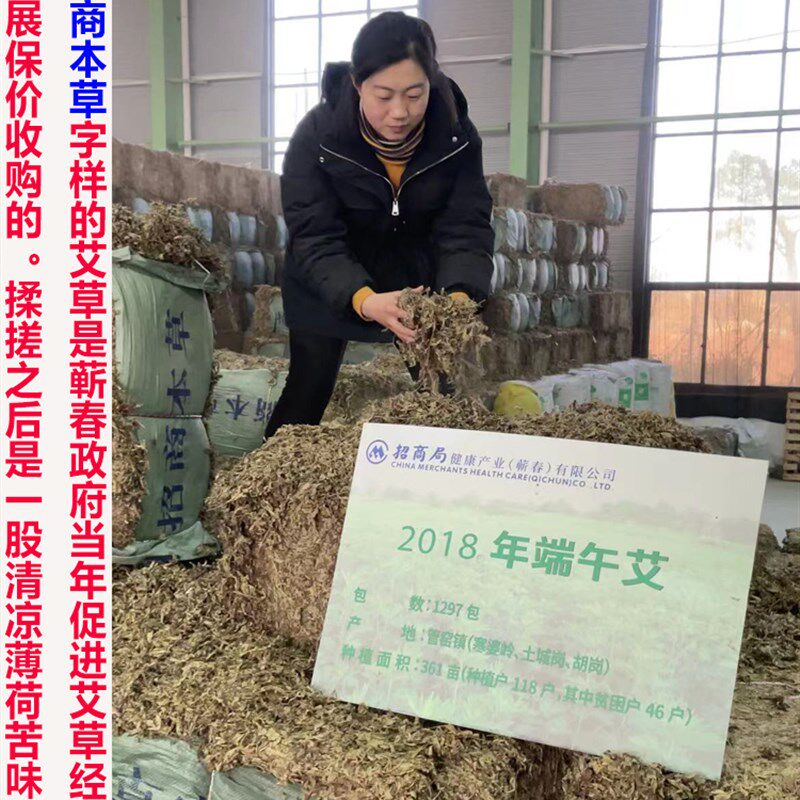 杨小妹三年陈蕲艾湖北深山野生艾3cm粗石磨绒手工纯艾叶艾条艾绒