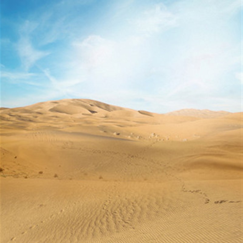 影楼拍照古装背景纸沙漠荒漠敦煌古风侠女飞天写真摄影主题背景布