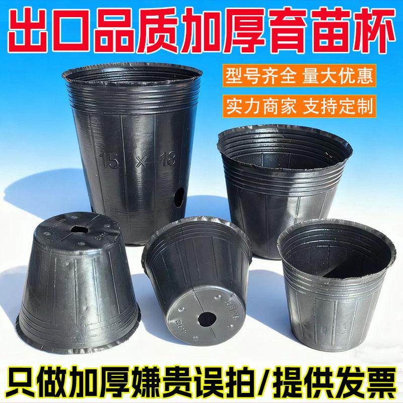 营养钵加厚防老化营养杯育苗杯育苗盆塑料黑色育秧盆种植袋育苗袋