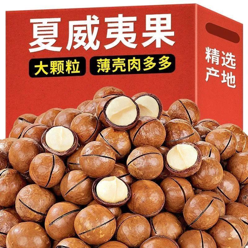 【新货净重】夏威夷果500g罐装饱满颗粒酥脆坚果追剧休闲零食250g