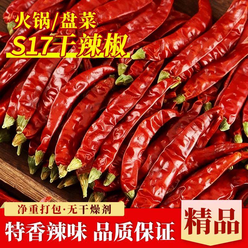 【S17干辣椒】印度魔鬼椒巨辣变态辣超辣批发家用商用厂家直发