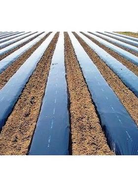 农用塑料薄膜黑色微膜黑膜防草地膜除草膜大棚塑料膜白膜超微膜