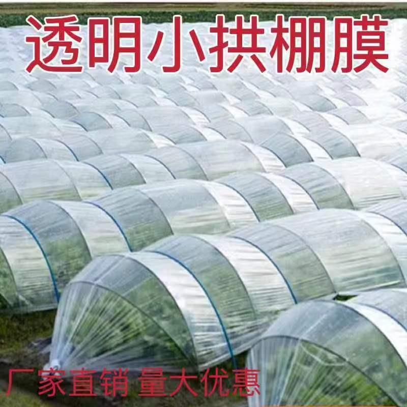 小拱棚专用膜育苗保温防寒防雨防冻透明塑料布农用种植塑料膜