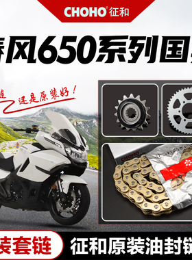 春风650K/G/M/ 国宾650-G 原厂链轮大小大齿W盘征和油封链条