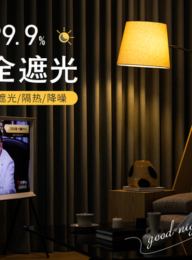 全遮光防风窗帘20o22年新款客厅阳台简约轻奢遮阳飘窗挡风神器