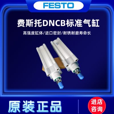 2050-10N06075-050-V-1240-D--B-0525-0PP-C30--FESTO气缸-7000A0