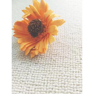 ins白色短绒地毯卧室客厅宝宝拍照摄影网红直播间衣帽间背景地垫