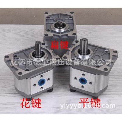 (CBNE30-4齿泵，四川cbn-eF159)304齿轮油泵，轮液压输油泵