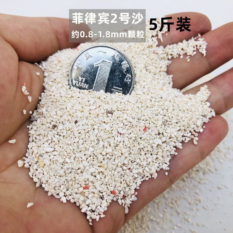 极速菲律宾沙贝壳沙珊瑚砂白沙鱼缸底砂造景海缸三湖慈.鲷寄居蟹