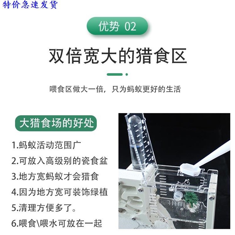 蚂蚁生态箱城堡系列套餐工坊蚁巢屋箱盒送蚁后繁殖蚂蚁部王国现发