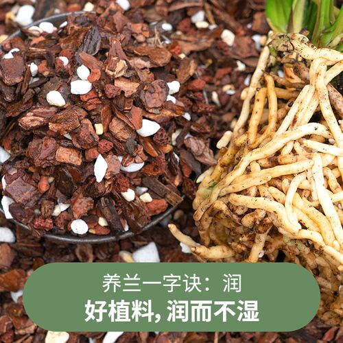 兰花专用土营养土植料君子兰蝴蝶兰兰花土颗粒高端松树皮种兰花