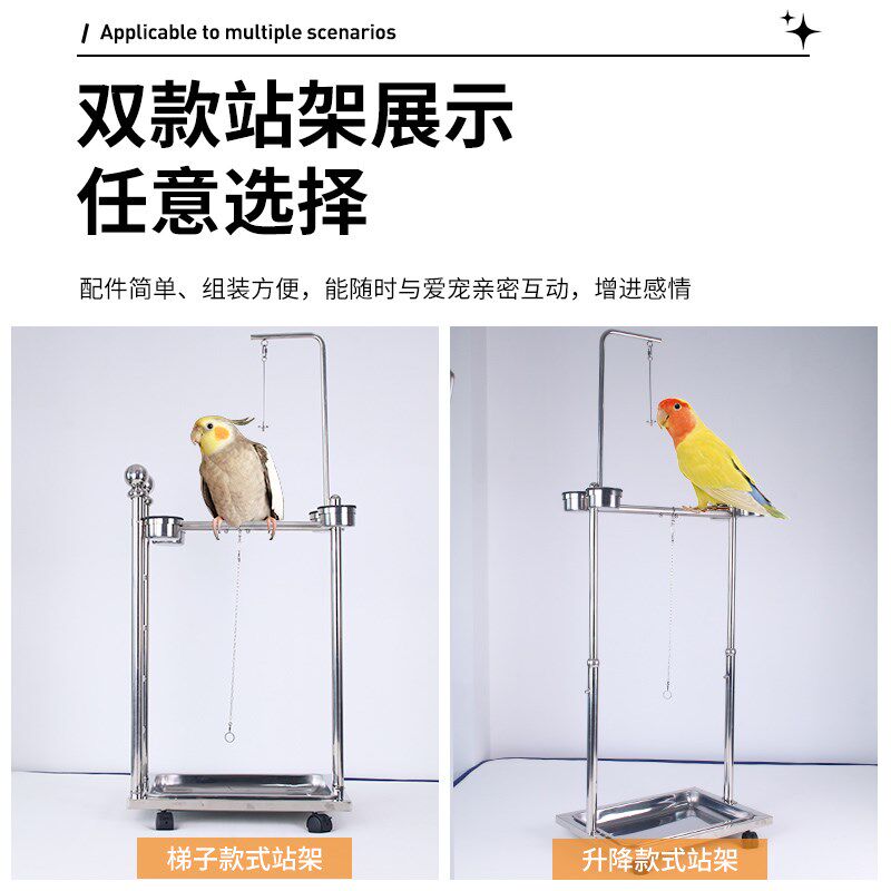 不锈钢鹦鹉站架楼梯形中大型鹦鹉适用家用庭院鸟禽架架厚栖息架中