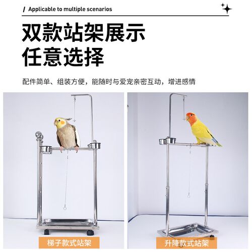 不锈钢鹦鹉站架楼梯形中大型鹦鹉适用家用庭院鸟禽架架厚栖息架中