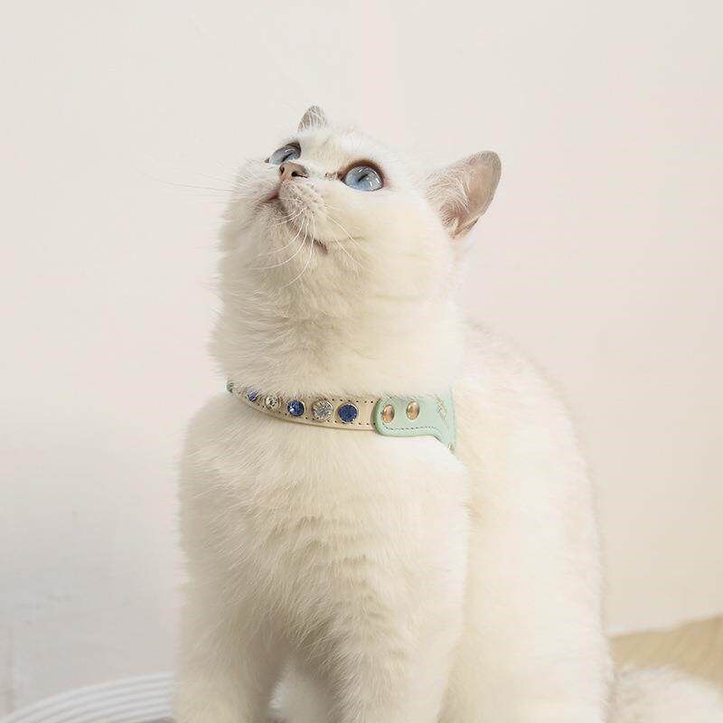 PU皮猫狗钻石胸背套装小型犬牵引绳子高颜值外出遛狗绳宠物胸背带