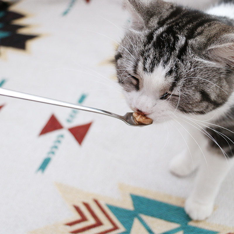 不锈钢猫咪多功能罐头勺t狗狗湿粮餐具猫布丁零食勺长柄宠物拌餐,宠物/宠物食品及用品,猫狗勺,淘宝优惠券,粉丝福利购,淘宝优惠卷