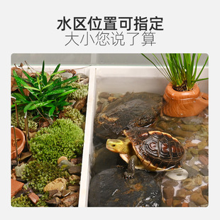 黄缘龟专用缸大h型半水龟饲养箱生态造景安缘龟缸带排水乌龟水陆