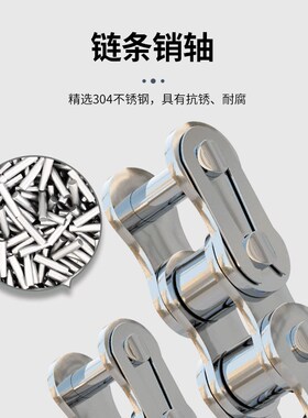 304/316不锈钢工业链条单双排2分04C/0B5B/3分06B/4分08B/5分10A1