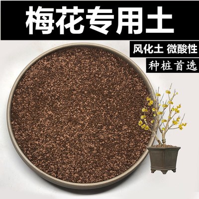 梅花土腊梅e土风化土颗粒土红沙土酸性土盆景土赤玉土种生桩土