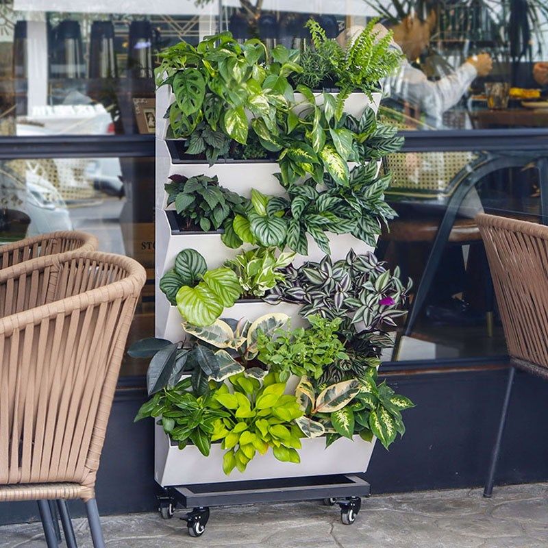 立体可移动植物墙花盆自动储水客厅植H物花架多层花盆挂墙壁挂装