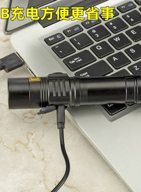 365nm荧光剂检测笔紫外线手电筒黄曲霉菌充电紫Y光UV验钞灯