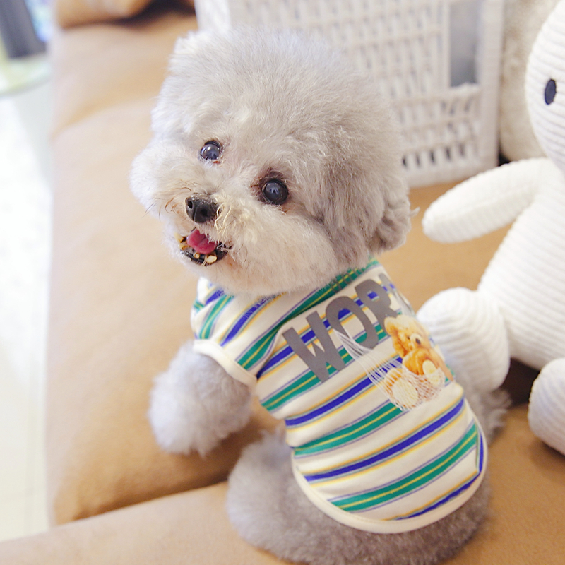宠物猫咪b比熊小型犬泰迪狗狗衣服秋冬装春夏装薄款背心多彩条纹