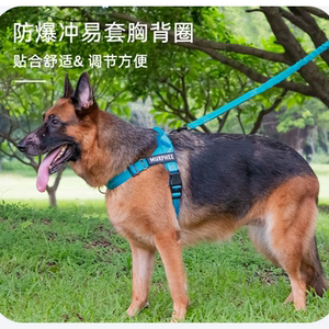 爆款易套轻量防爆中大型狗牵引绳