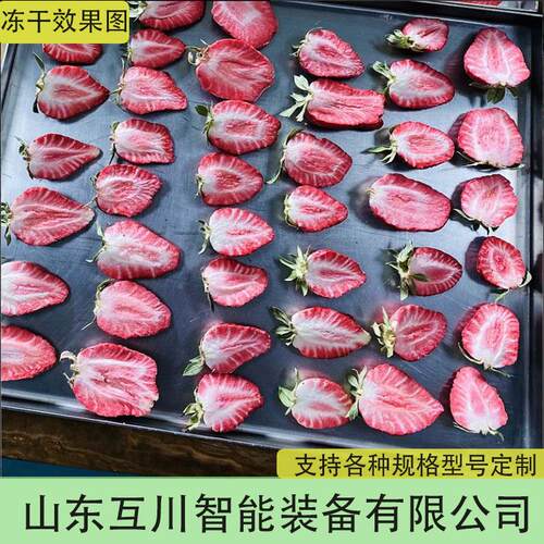 虾备米冻干设温海鲜冻VTS干机海带丝虾仁低干冻速食食品脱水设备
