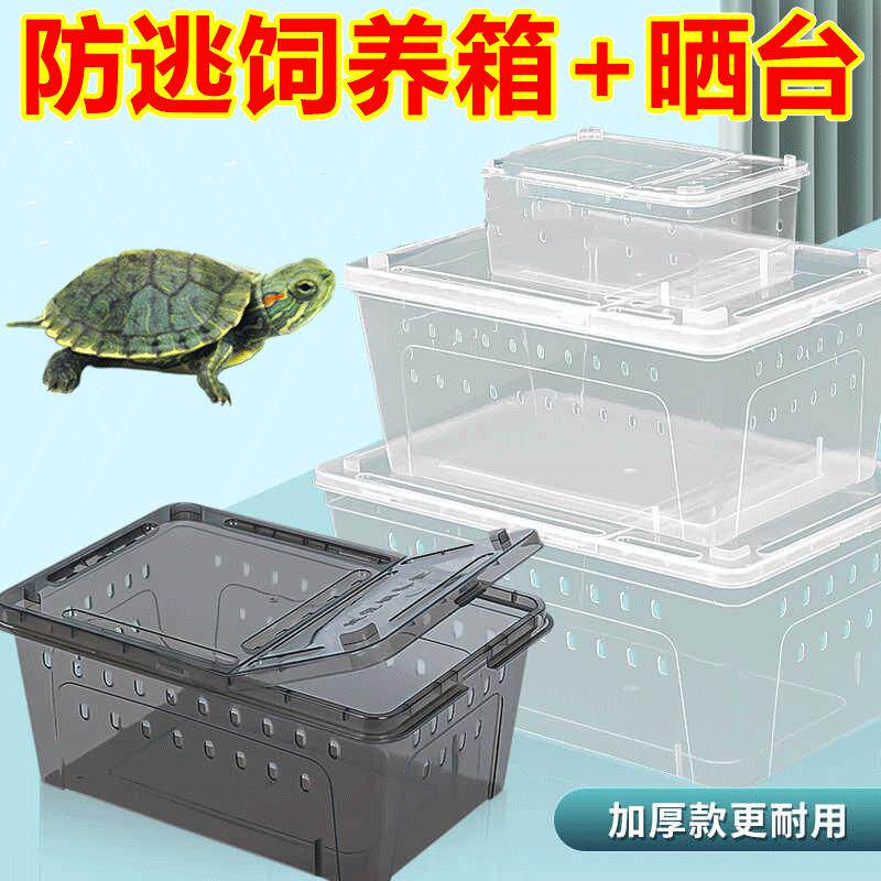 爬宠饲养箱观水陆两栖赏蟹专用饲养盒相手蟹饲养盒蝾螈角蛙带晒台