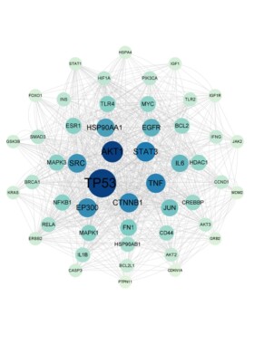 venn图，PPI蛋白质互作网络，kegg富集分析都可以做