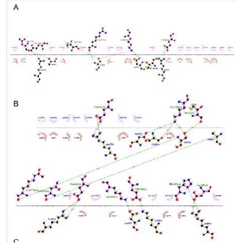 分子动力学模拟 分子动力学代算 生物分子计算 amber gromacs代算