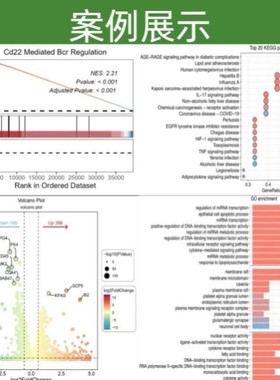 生信分析服务TCGA GEO GWAS数据库挖掘孟德尔随机化转录组分析