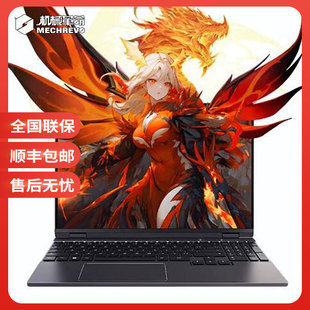 MECHREVO/机械革命 翼龙 翼龙15Pro/耀世15Pro/16Pro 极光X游戏本