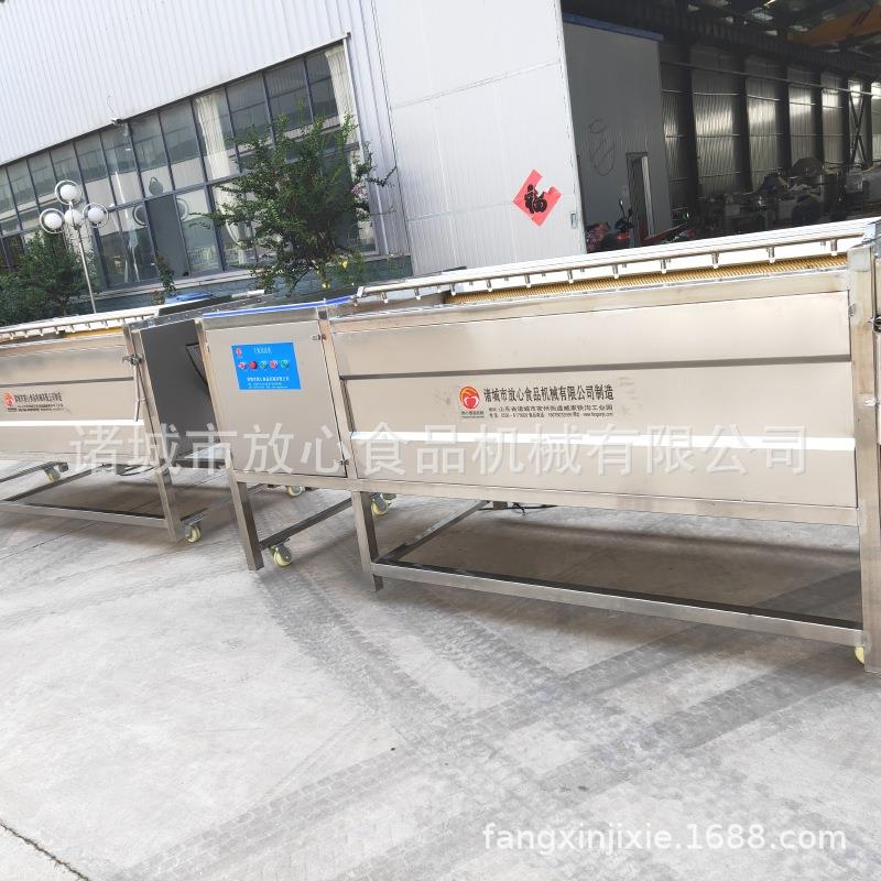 羊蹄牛蹄毛辊清洗机 全自动鸡胗清洗机厂家供应直销 猪蹄清洗机