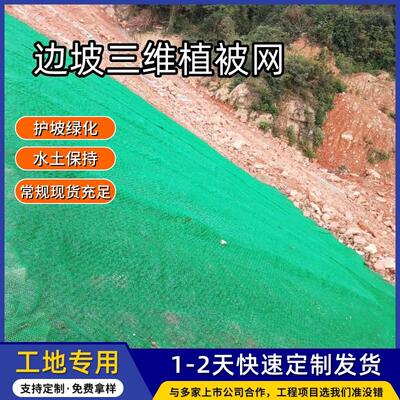 三维植被网护坡绿化EM3加筋EM2植草三维土工网垫