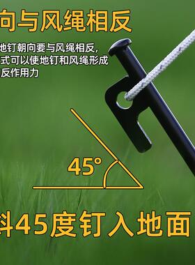 户外多功能加帐篷地钉铸钢金属加地粗长地天幕钉YF206沙滩固定野