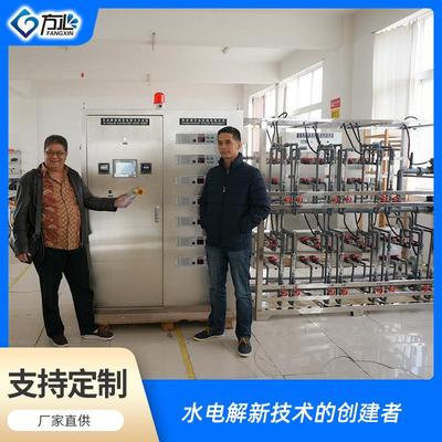 弱碱水设备 水厂饮料厂用 厂家直供伊利好丽友弱碱性电解水生成器