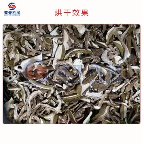 小型LT-DJR菌菇烘干机 电加热羊肚菌鸡枞菌烘菌干烤机 烘牛肚移动