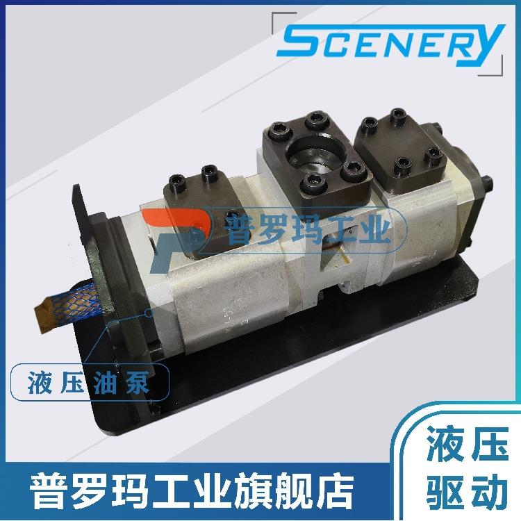 SCENERY双联内啮合齿轮泵S2NCB系列液压系统伺服齿轮油泵驱动