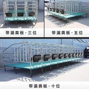 母猪定位栏母猪限位栏带漏粪板母猪定位栏十位一组