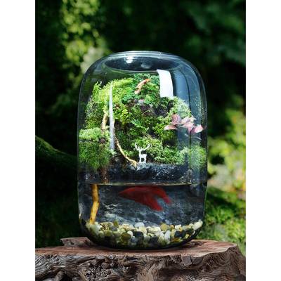 创意苔藓微景观生态瓶生态缸雨林造景绿植盆栽迷你植物小摆件成品