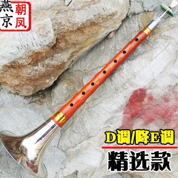 唢呐乐器初学者全套花梨木降E成人儿童入门小号D调燕京直销送哨片