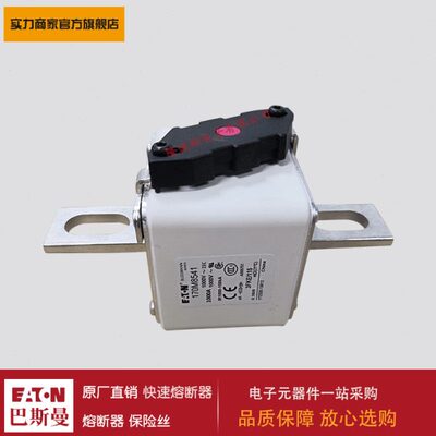 熔断器170M8538 170M8539 170M8540 170M8541 170M8542 170M8543