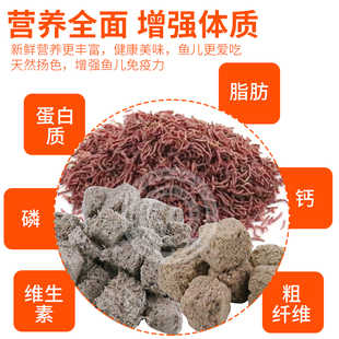 高够力红虫干丰年l虾水蚤孔雀鱼斗鱼金鱼灯鱼六角恐龙饲料增色鱼