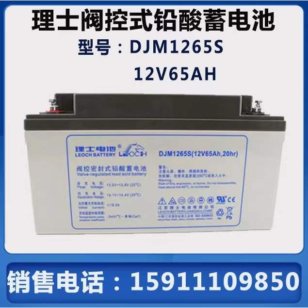 LEOCH理士DJM1265S UPS不间断电源 12V6H EPS电源铅酸蓄电池