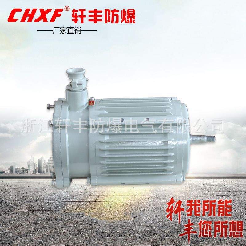 防爆电机220V 隔爆型单相异步电动机 IIB/IICT4