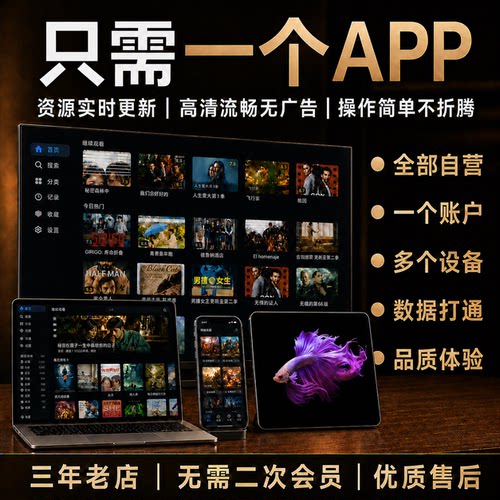 家庭观影流媒体库/简单/性价比