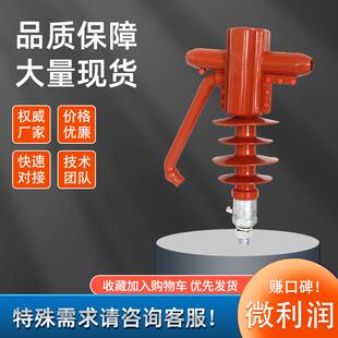 FEG-12/5复合穿路刺式线防雷针式绝G缘子高压支柱FXZJF-10KV硅橡