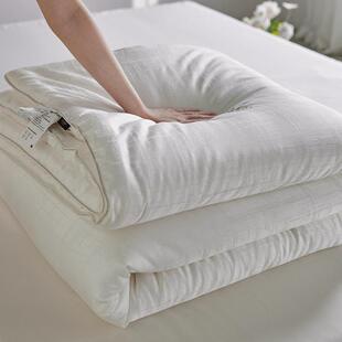 轻奢净棉被 类母婴幼儿软A芯棉纯净安全夏被春秋被花冬RQN被无荧