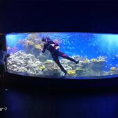 高强度鱼大型亚克力柱体海FHA缸圆洋鱼大尺寸珊瑚缸海水缸海缸洋